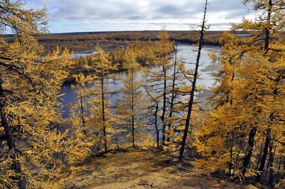Осень на Молодо. Заполярье