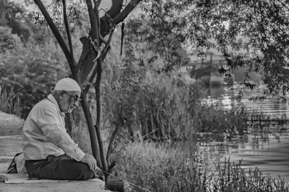 Photograph by Morteza Hekmat Maram