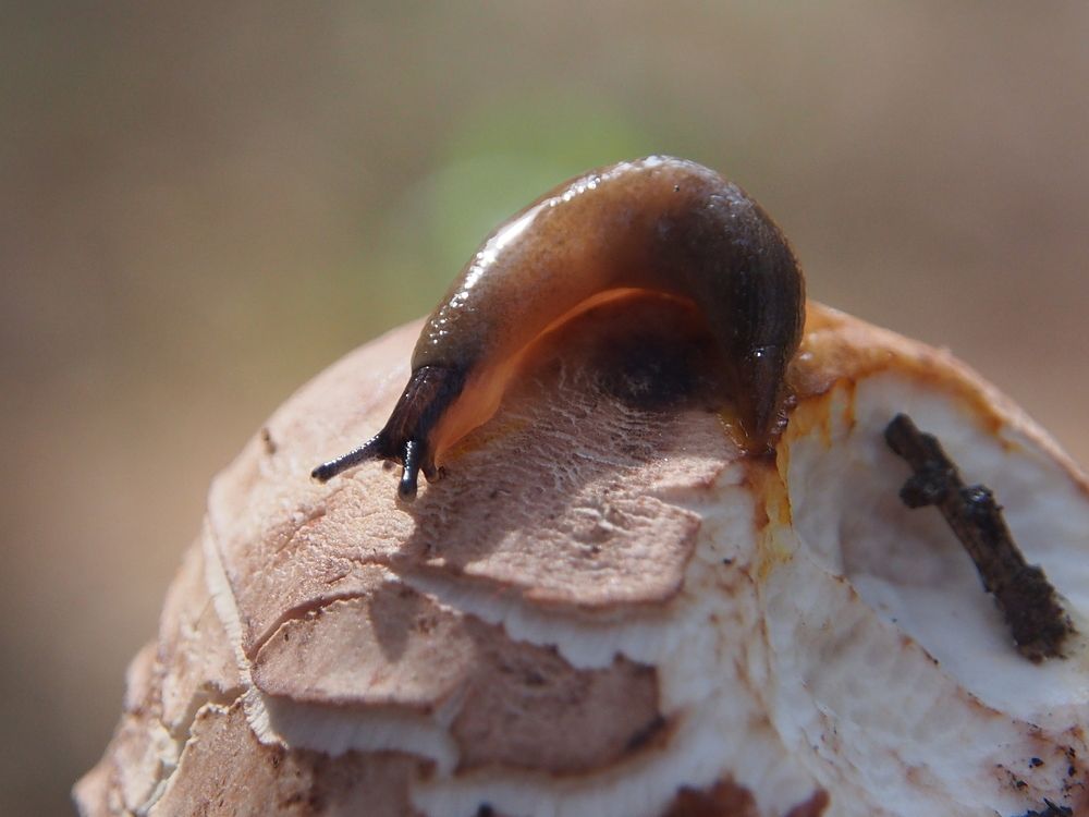 Завтрак удался.