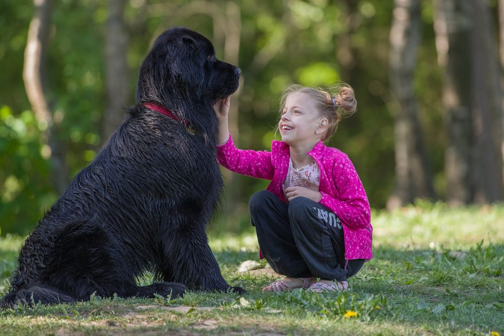 Зубы покажи?