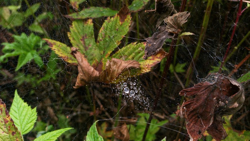 Под ногами.