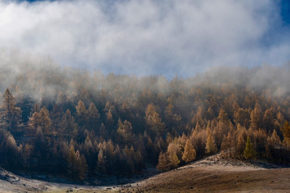 Усть-Кан. Туман.