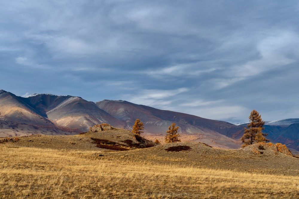 Осенний ветер.
