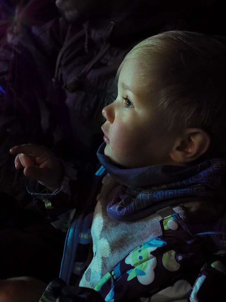 Тима и цирк