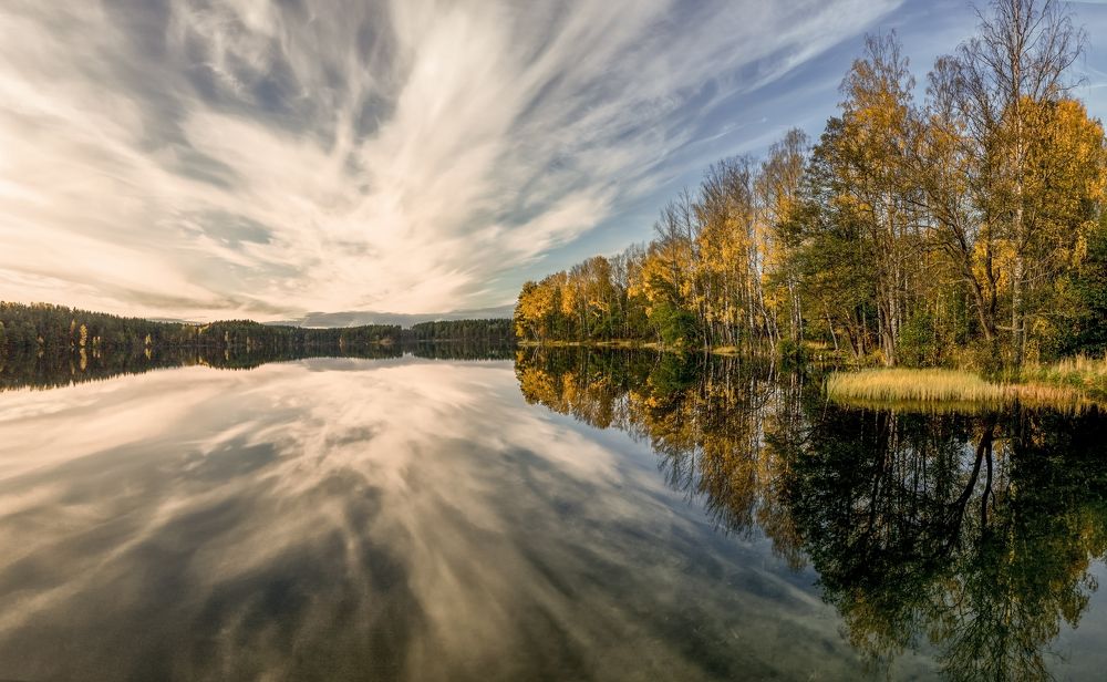 Осенний мотив