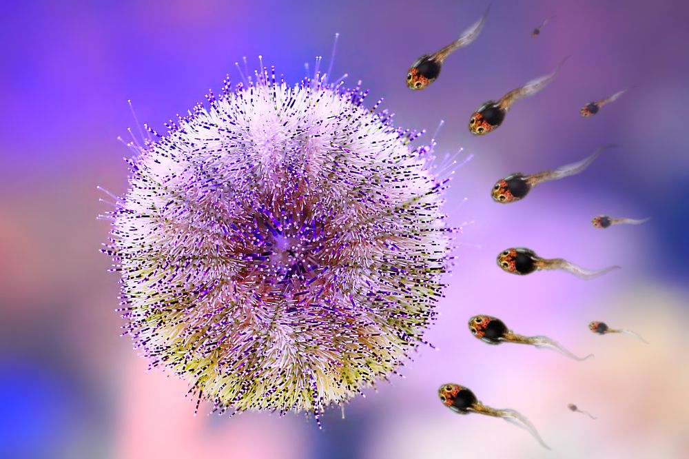 Ох уж эти инстинкты...