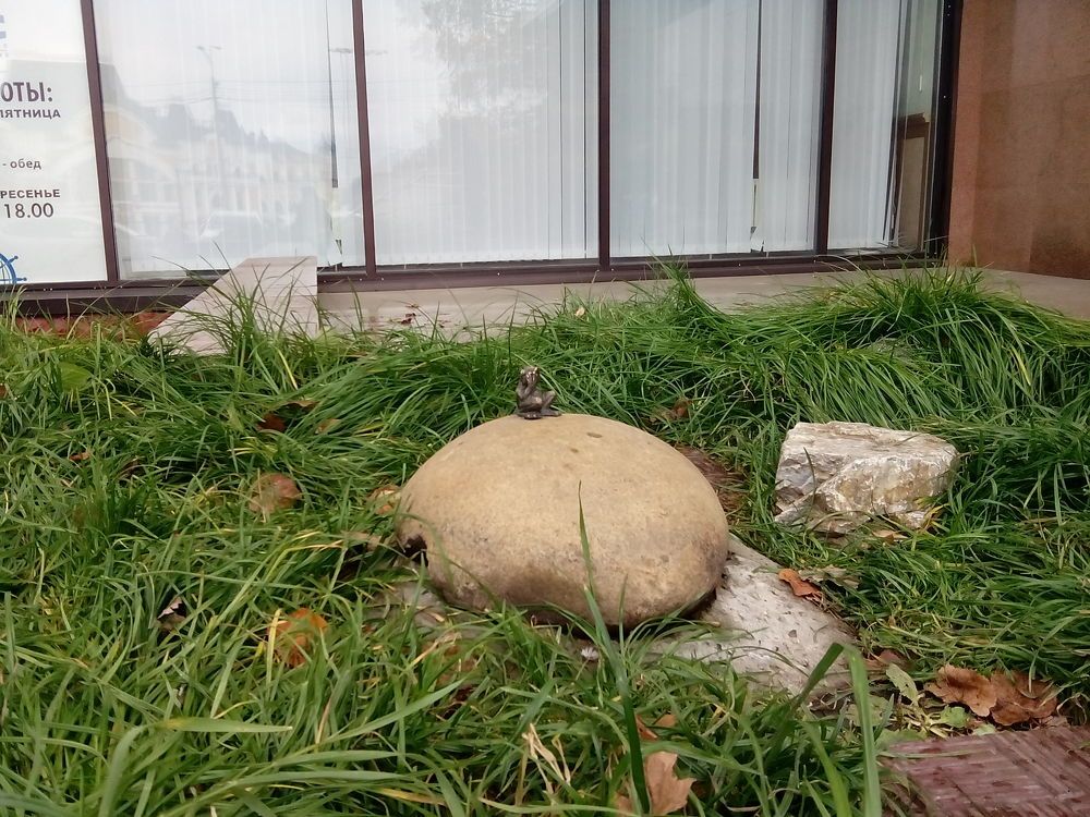 Лягушка - нецаревна