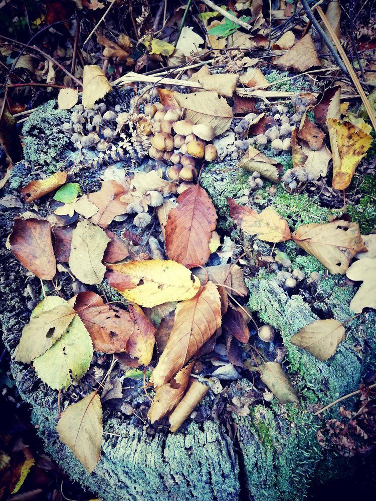 Photograph by Aga Czerwinska