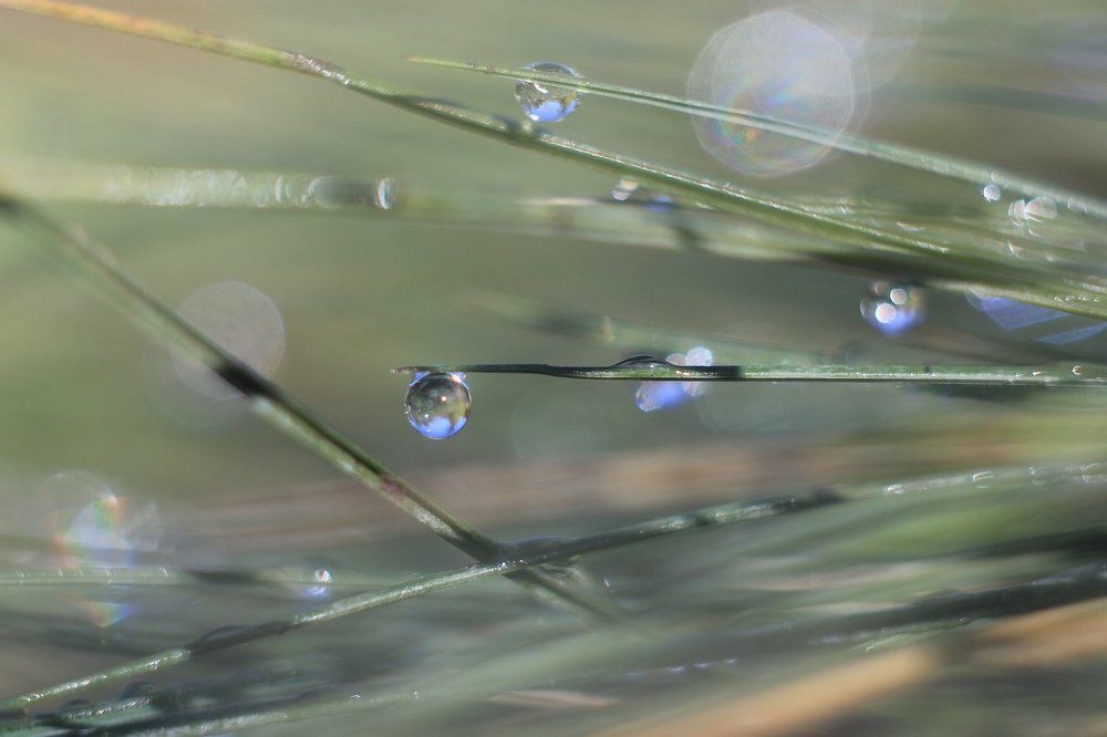 Микро космос