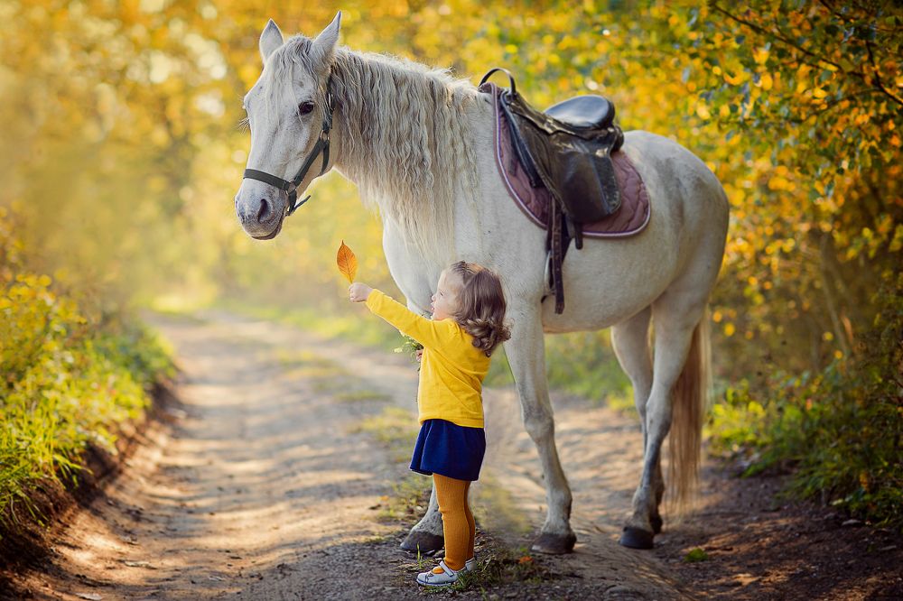 Осеннее утро