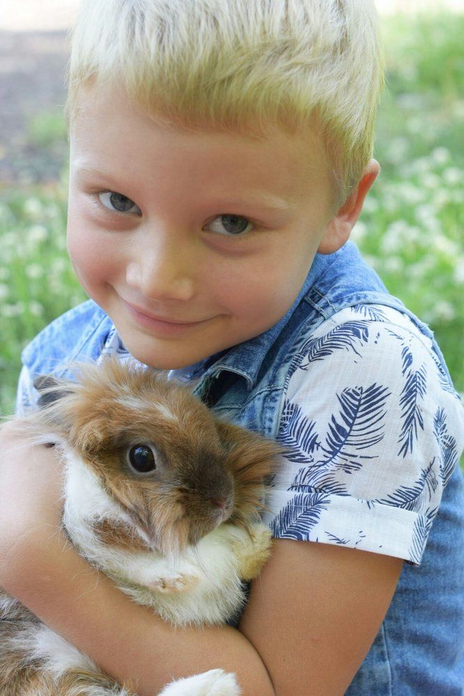 Любимая зверюшка