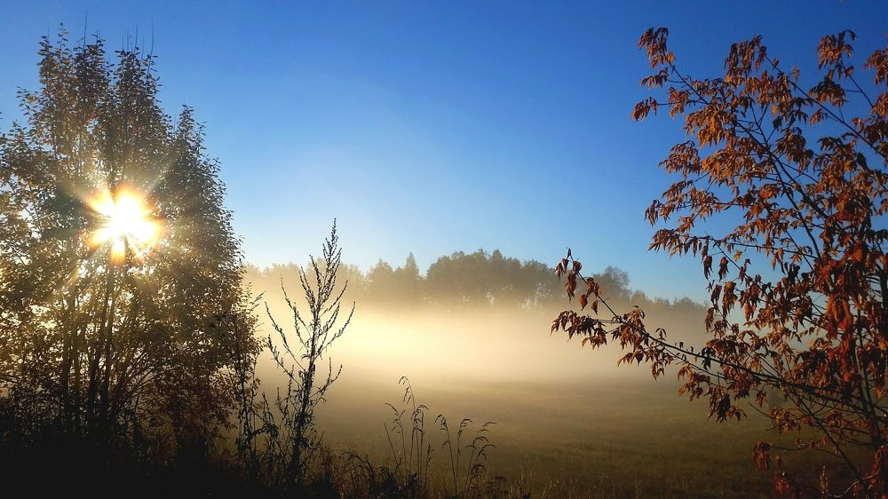 Осеннеее утро