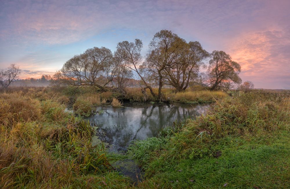 Photograph by Николай Андреев