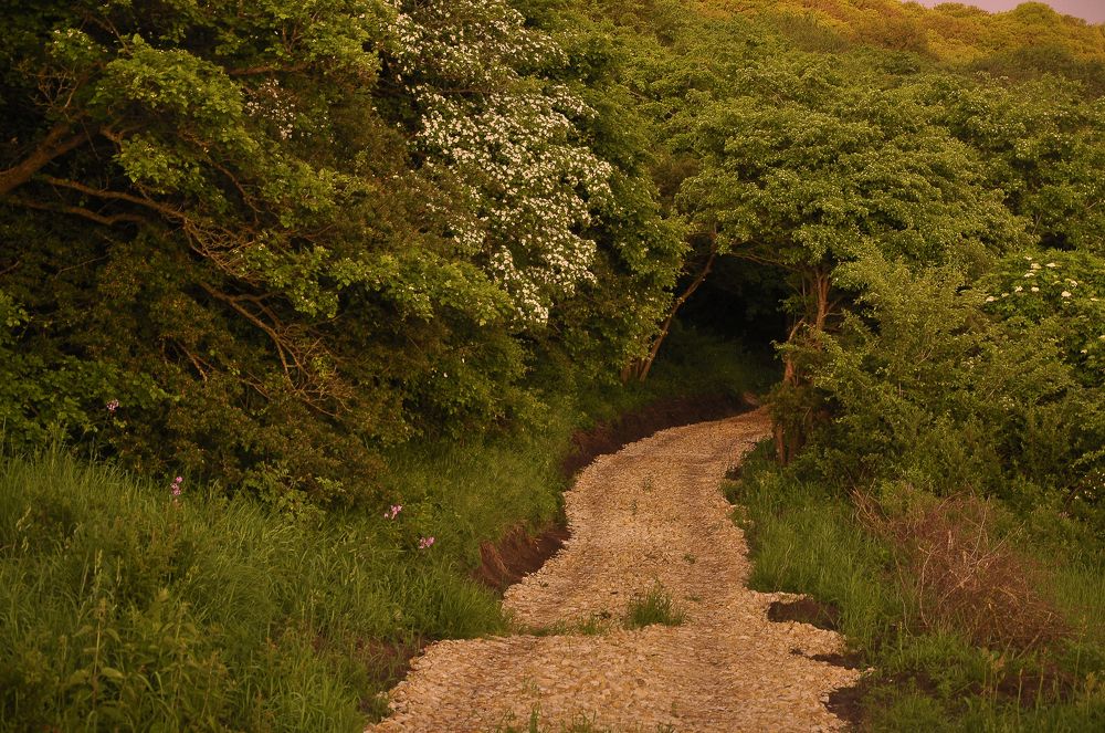 Майские грозы