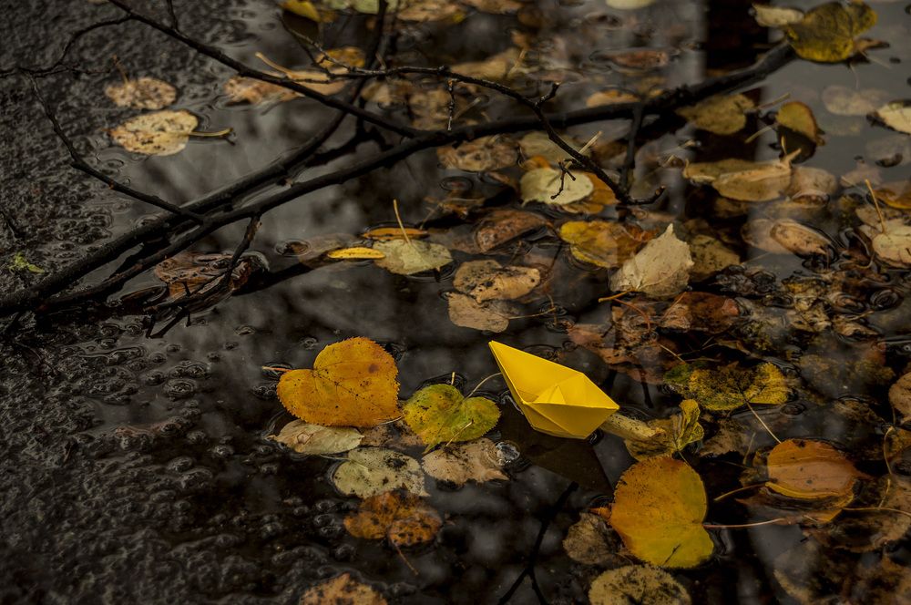 И кораблик бумажный гонит ветер вперед...