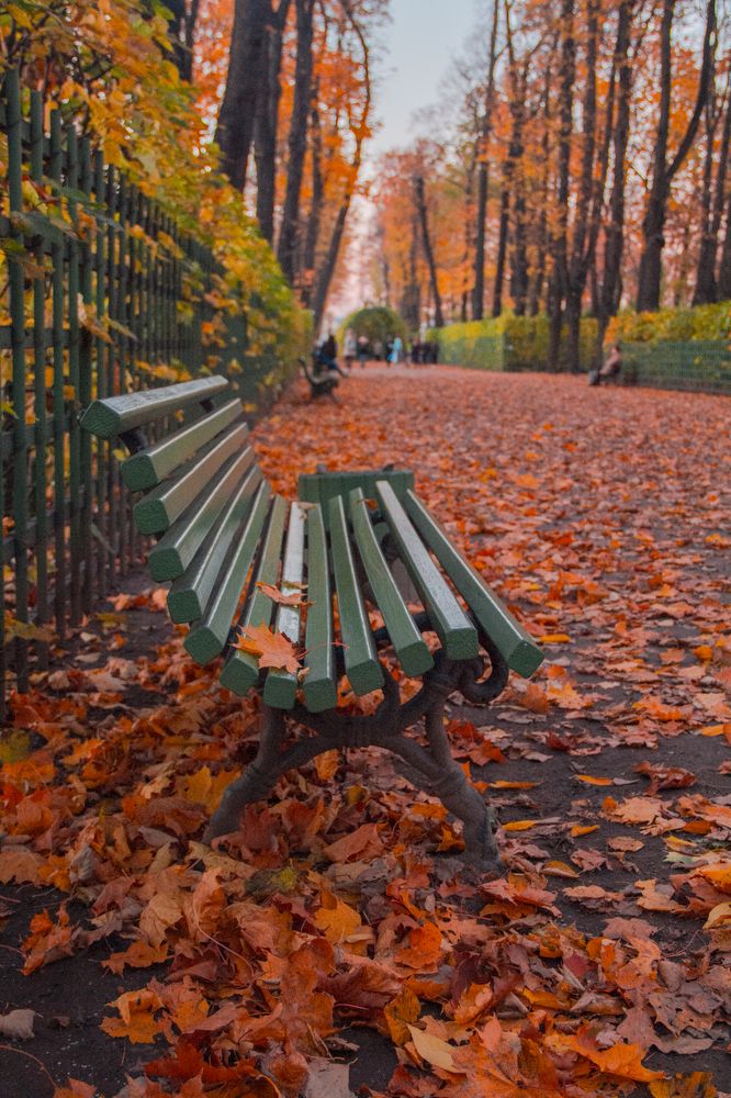осень