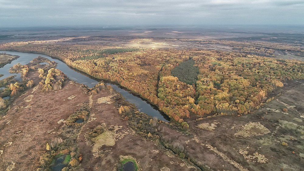 Осеннее настроение