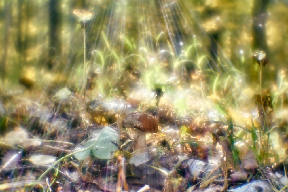 Photograph by Игорь Кляхин