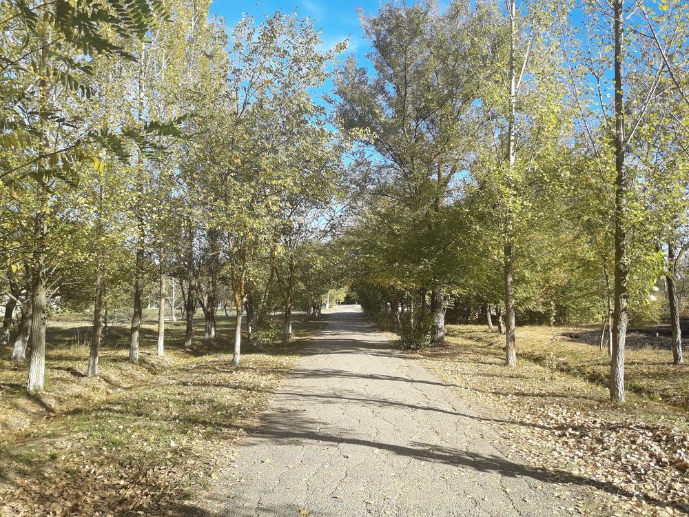 Осень..
