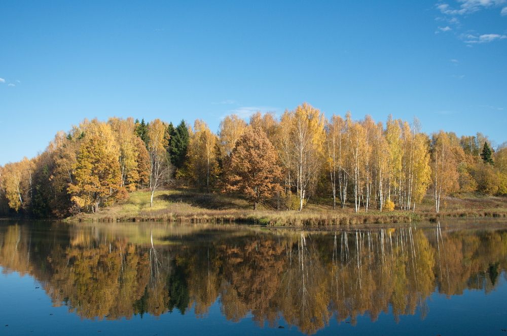 Autumn tints