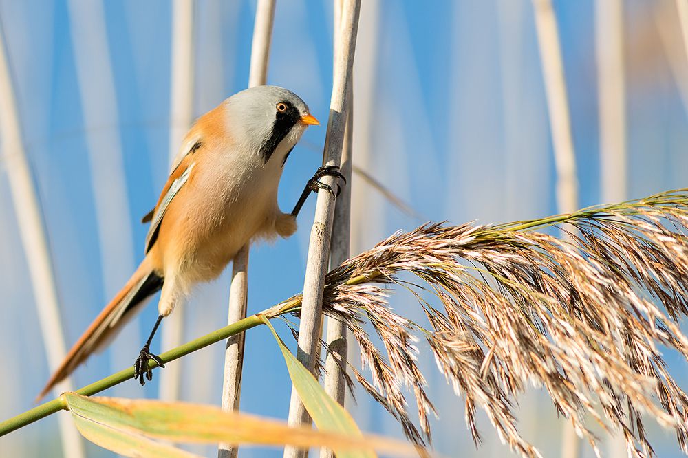 Photograph by Марина