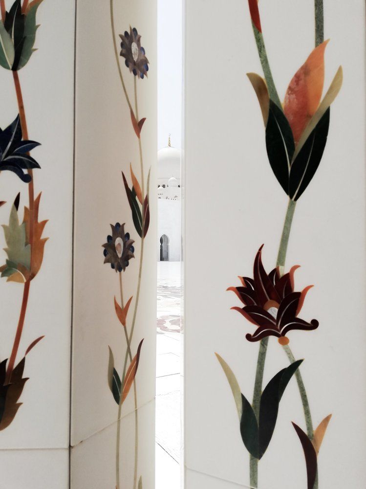 Белые цветы