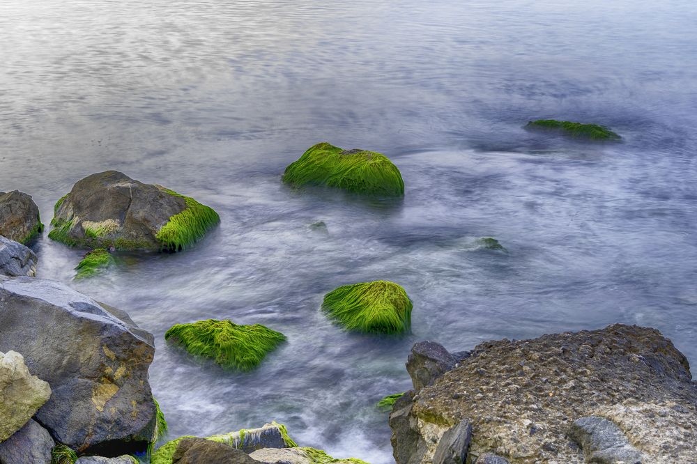 Green stones in the morning sea.