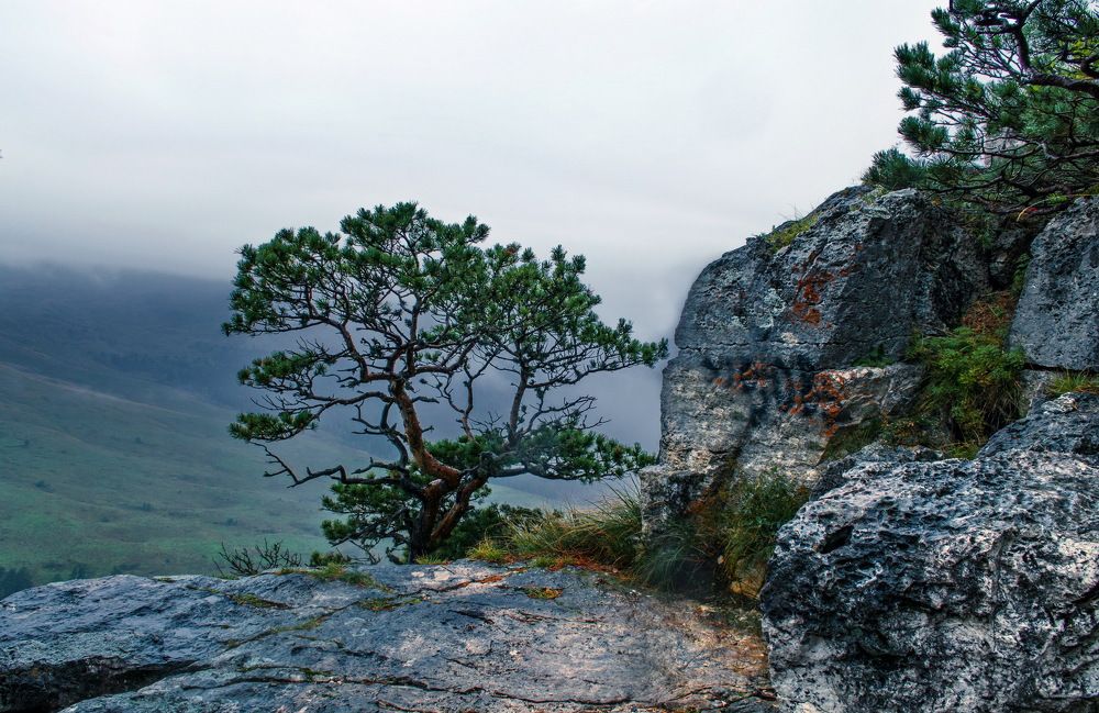 Туман на плато Лаго-Наки. Адыгея