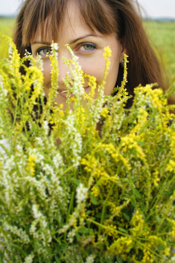 Полевые цветы