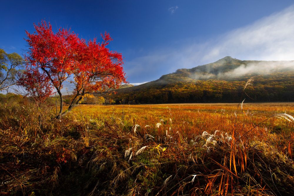 Photograph by Дмитрий Шовтюк