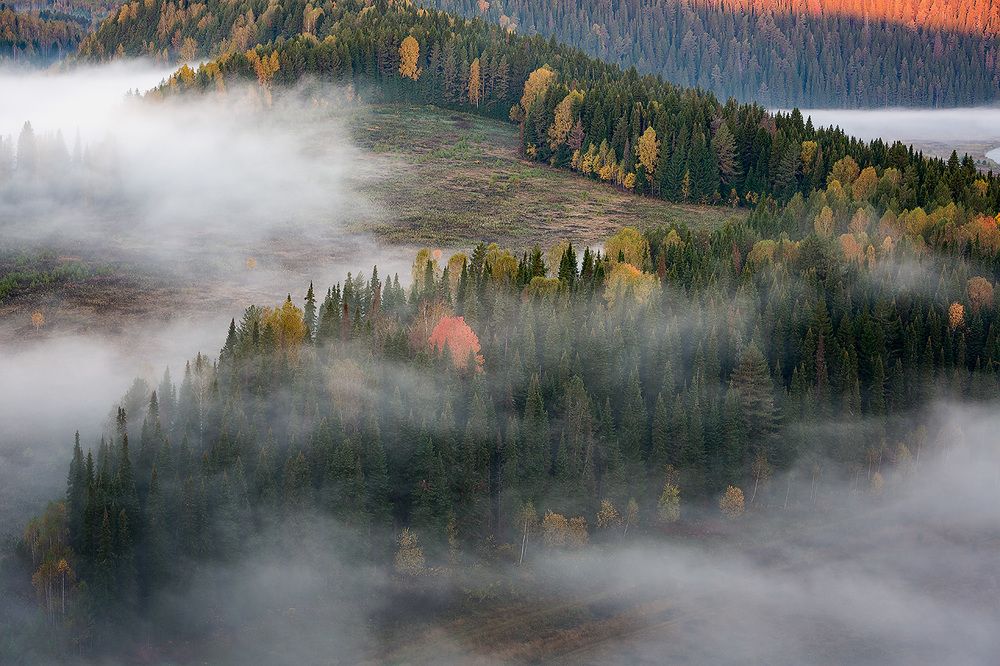 Осенние зарисовки.
