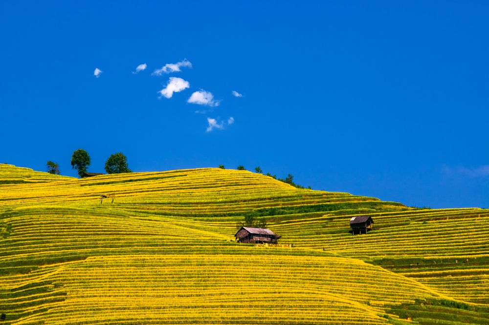 Peacefully one place