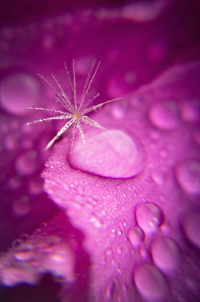 Photograph by Олеся