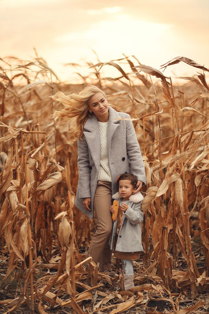 В кукурузном поле