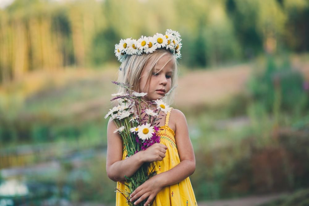 Ромашковое лето