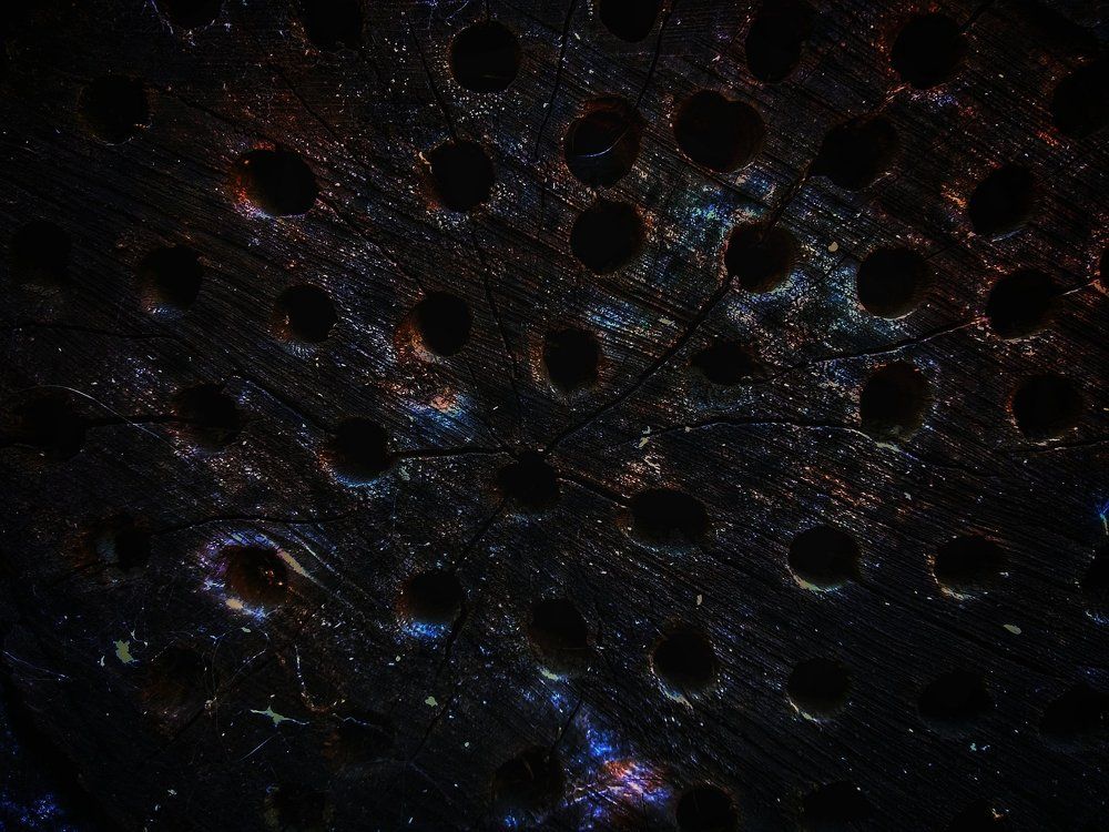 Photograph by Тараненко Анжелика