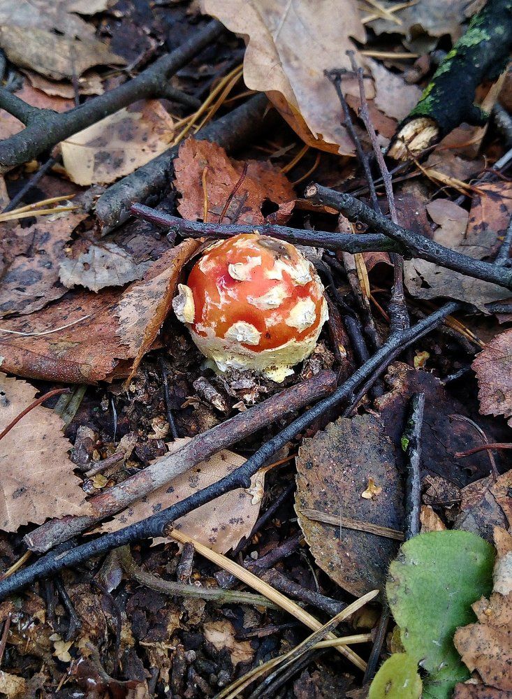 Photograph by Nastya Masik