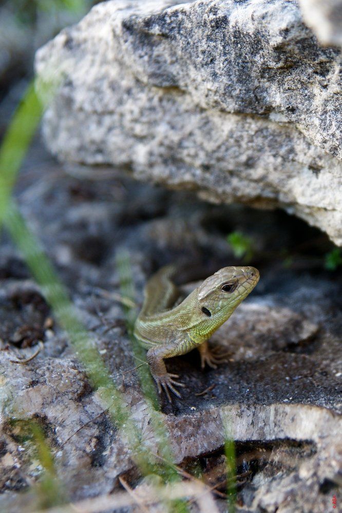 Photograph by Сергей Забиякин