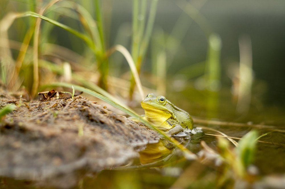 Photograph by Сергей Забиякин