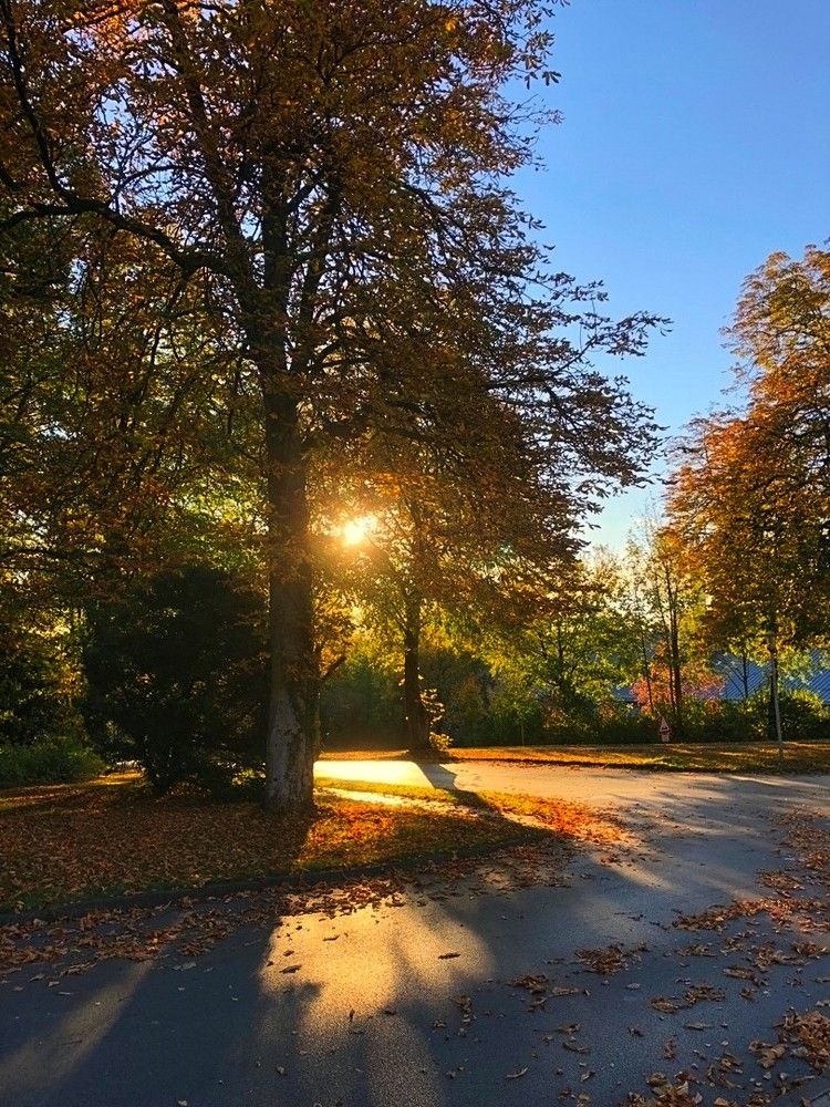 Осень, октябрь