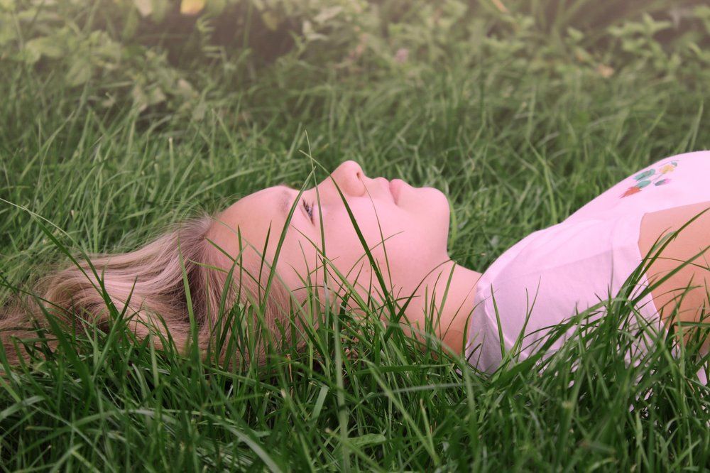 Лето в траве