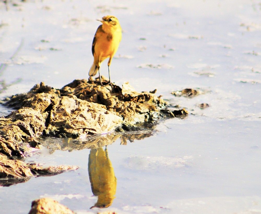 Photograph by Sarmad Sindhi