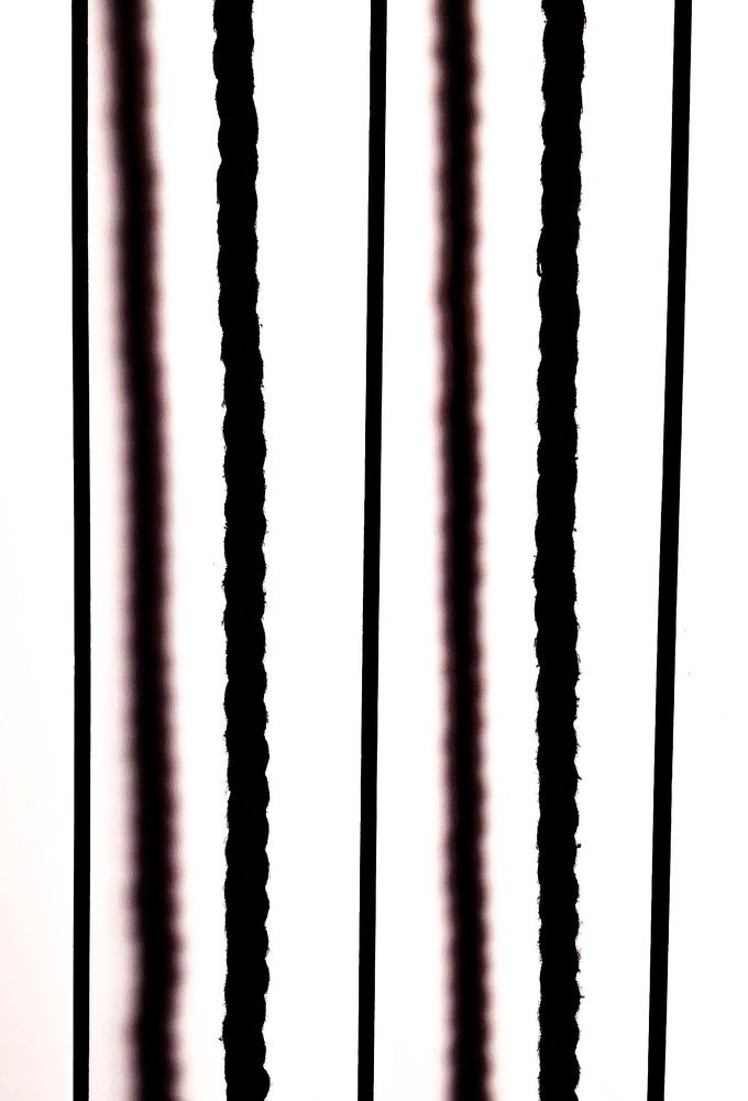 Black lines on white