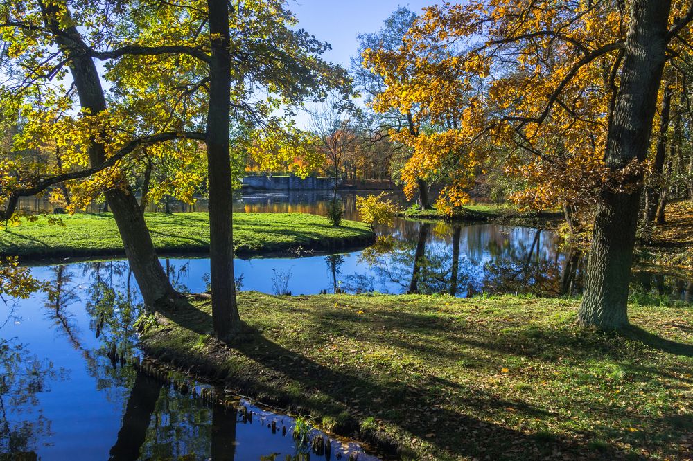Длинные тени золотой осени.
