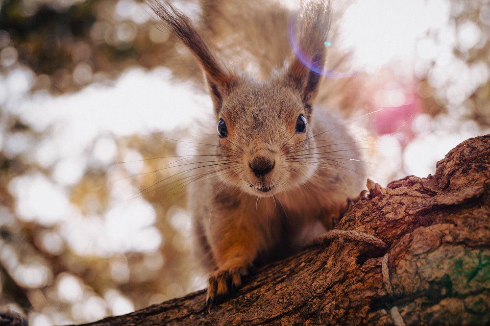 Photograph by Юлия Маматрахимова