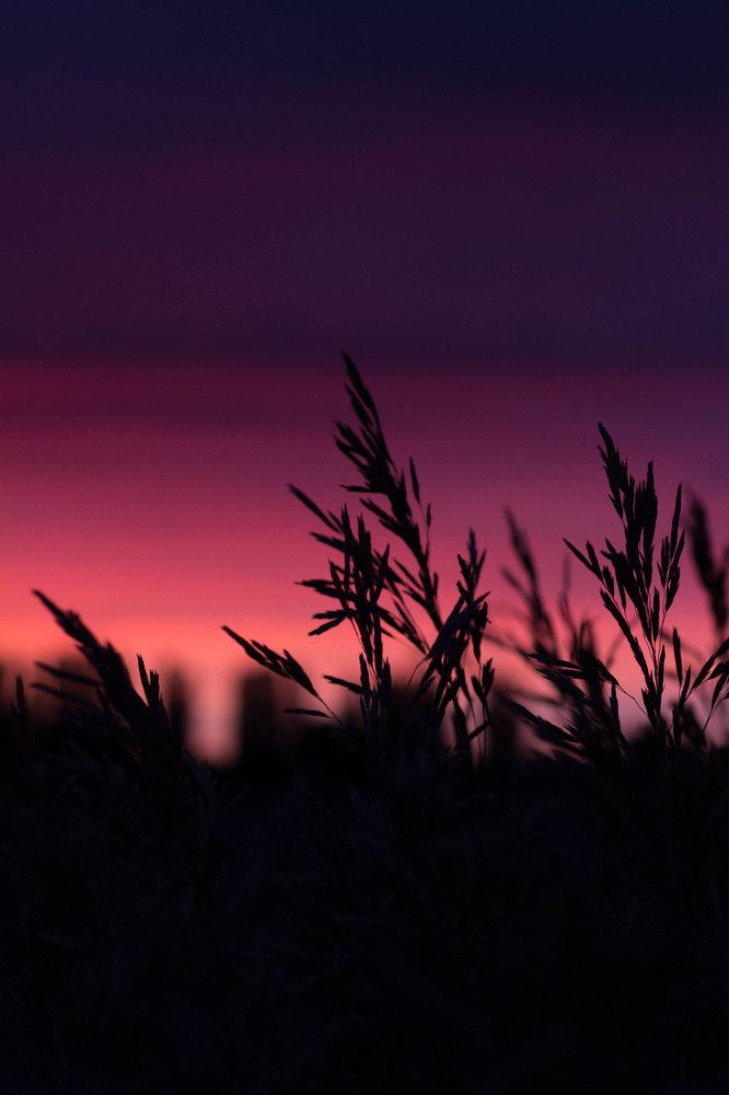 Photograph by Лена