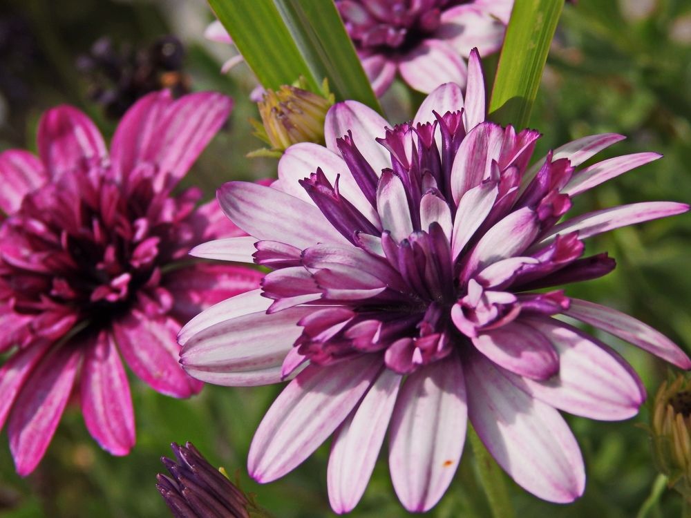 Photograph by Агния