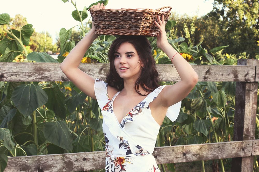 За подсолнухами