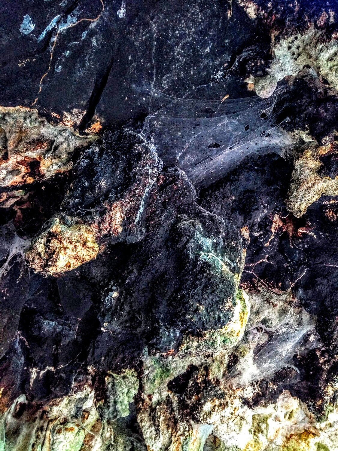 Texture of Nature
