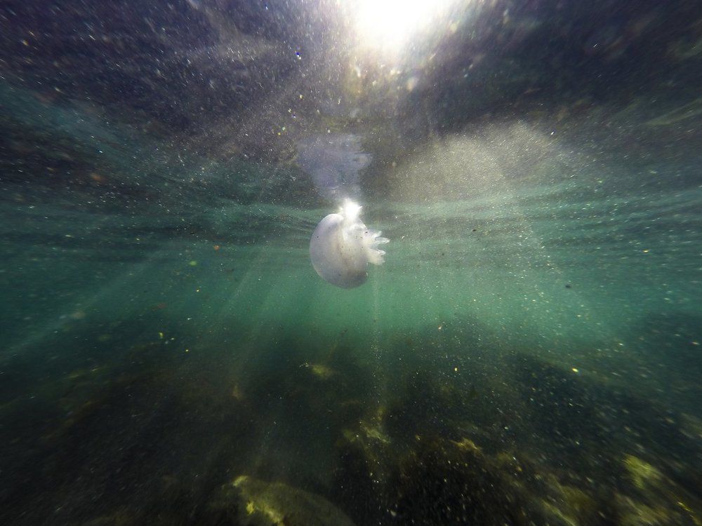 В космосе моря